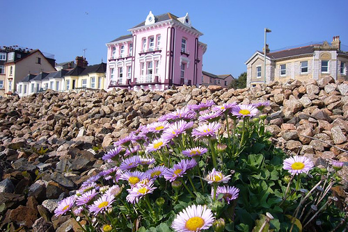 Dawlish in Devon